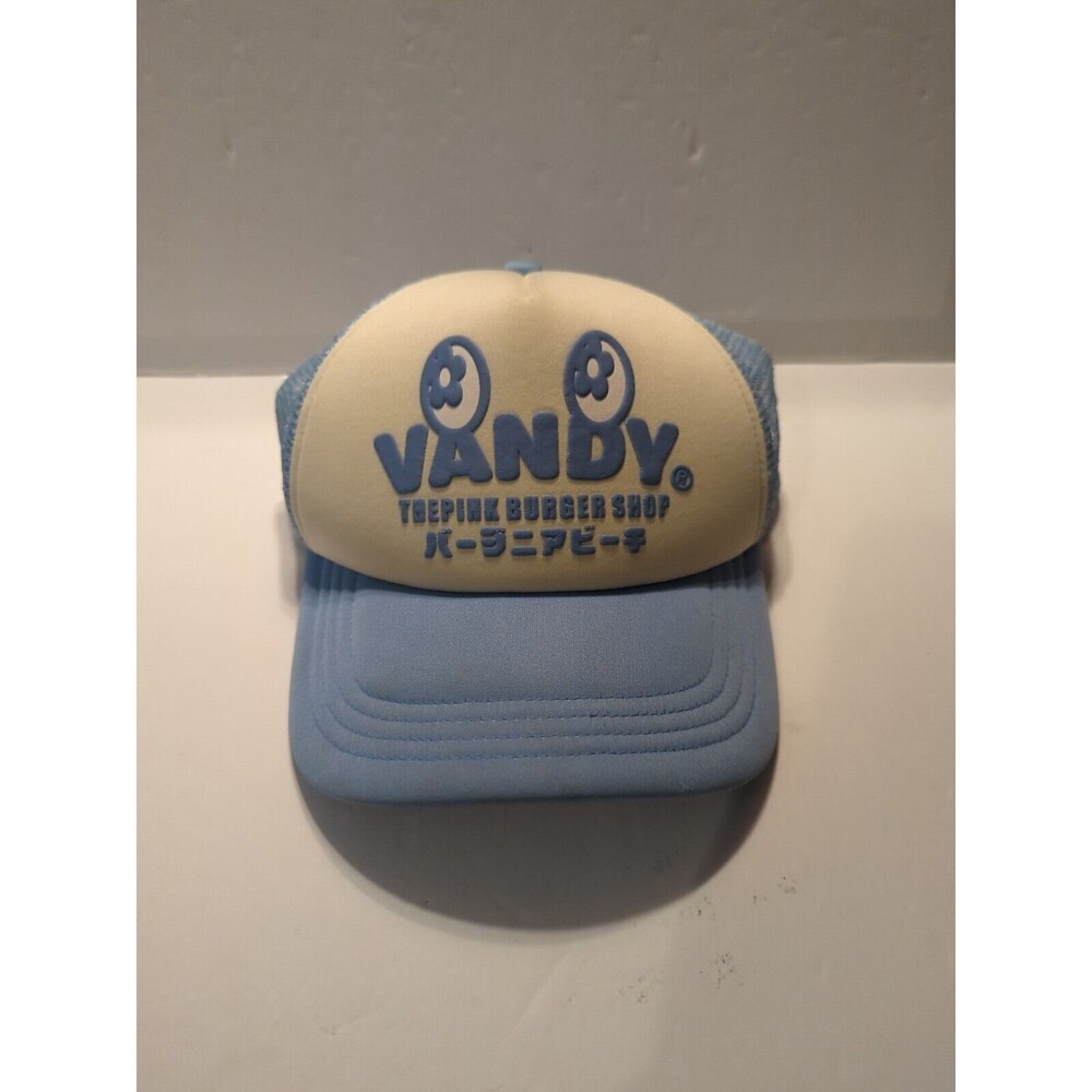 Vandy the Pink Hat Blue White US Seller Fast Shipper